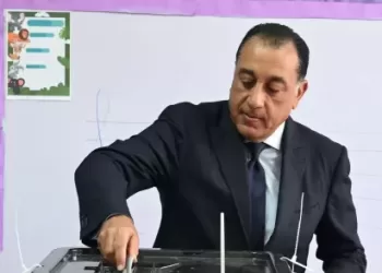PM casts vote in 2025 House of Representatives election