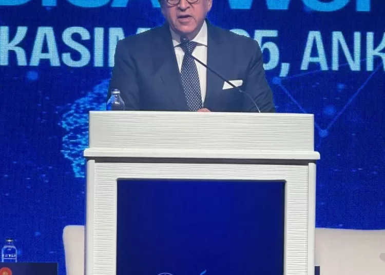 Egypt's Minister of Health, Khaled Abdel-Ghaffar addressing the 11th World Medical Congress, held in Ankara.
