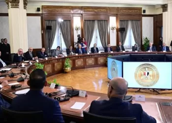 PM: Egyptian-Italian partnership represents model of strategic integration