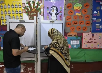 NEA: Strong participation, smooth process in 2nd day of elections