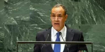 FM follows up on Egyptians in Mali