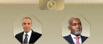 Egypt, Nigeria discuss boosting relations, regional developments