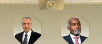 Egypt, Nigeria discuss boosting relations, regional developments