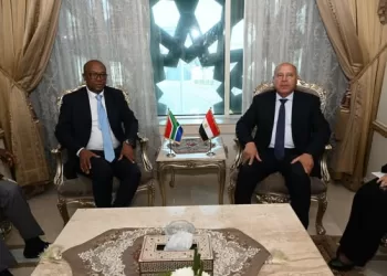 Egypt committed to strengthening industrial coop. with S. Africa: Transport min.