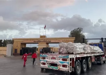 ERC: 73rd Zad Al-Ezza convoy carries about 9,300 tons of aid for Palestinians