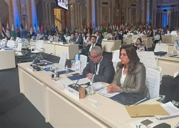 Acting environment minister takes part in UNIDO conference in Riyadh