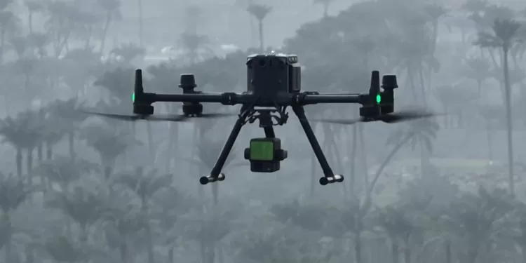 Egyptian Gazette 42 - Egyptian Gazette