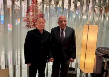 Egypt to localise high-voltage cable production with China