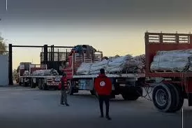 Egypt sends 99th aid convoy to Gaza