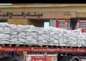 97th humanitarian aid convoy enters Gaza Strip