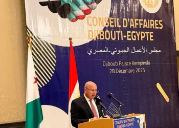 Wazir: Sisi’s visit to Djibouti in 2025 marked milestone for bilateral relations