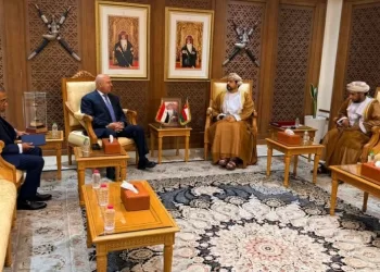 Egypt, Oman need to focus on establishing complementary industrial projects: Wazir