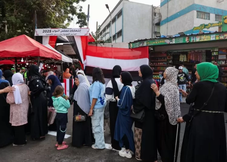 Egypt holds final day of voting in 1st-phase annulled districts 1 - Egyptian Gazette