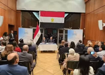 FM hails role of expatriates in Germany, vows improved consular services