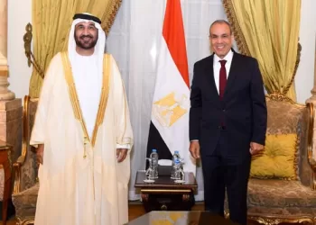 FM highlights AP’s role in entrenching effective Arab presence on int’l arena