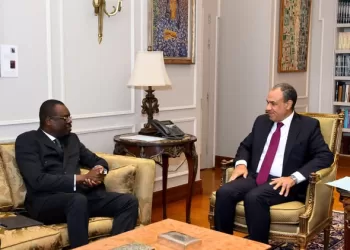 FM: Egypt ready to transfer successful health experience to African nations