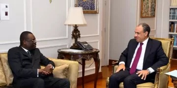 FM: Egypt ready to transfer successful health experience to African nations 1 - Egyptian Gazette FM: Egypt ready to transfer successful health experience to African nations