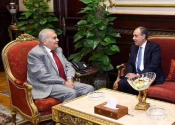 Egypt’s Foreign Minister stresses role of Parliamentary diplomacy in national goals