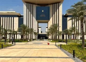 Egypt pursues efforts to get information about Egyptians missing in Libya