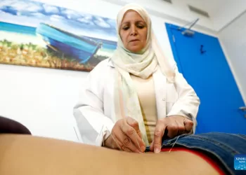 Traditional Chinese medicine offers relief, healing to Egyptian patients