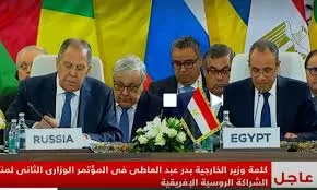 On Behalf of Sisi: FM stresses Egypt-Russia commitment to just international system