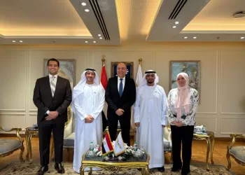 Egypt, UAE target enhanced economic, aviation partnerships