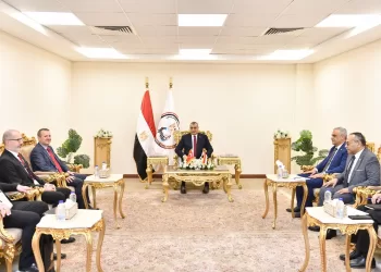 Egypt, Turkey discuss joint coop. in various military manufacturing sectors