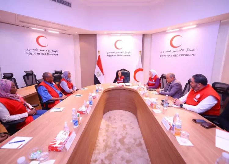 Egypt launches humanitarian aid convoy for Sudan 1 - Egyptian Gazette