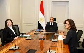 FM holds virtual meeting with Egyptian communities in Cambodia, Singapore, Thailand