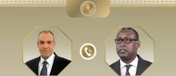 Egypt boosts economic ties with Mali