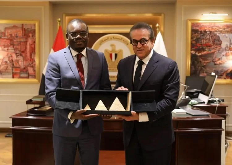 Health min.: Egypt committed to its pivotal role in supporting African health coop. 1 - Egyptian Gazette