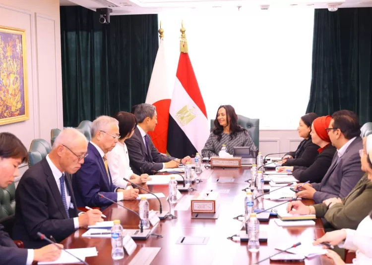Egypt, Japan review joint early childhood initiatives 1 - Egyptian Gazette