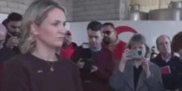 Irish FM tours Egyptian Red Crescent warehouses in Arish 1 - Egyptian Gazette Irish FM tours Egyptian Red Crescent warehouses in Arish