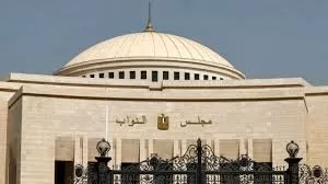 President Sisi appoints 28 new House members