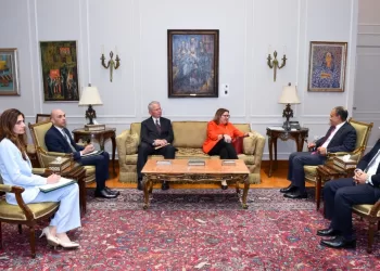 FM lauds role of MFO in Sinai