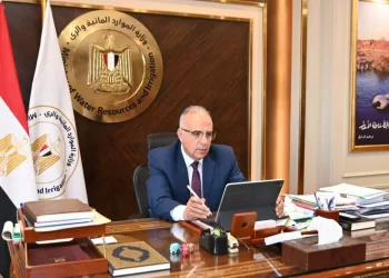 Egypt committed to building sustainable future for Africa
