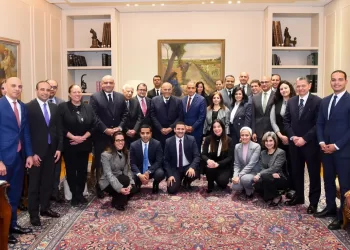 FM hails humanitarian work of Egyptian healthcare institutions in Africa