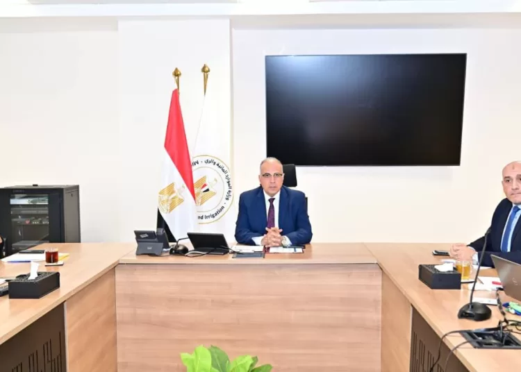 '“Decent Life” initiative implemented service projects targeting rural areas' 1 - Egyptian Gazette