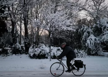 Europe frozen as snow, ice and sub-zero temperatures cause travel chaos and six deaths