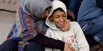 Israeli fire kills five Palestinians as Trump seeks to advance Gaza peace deal 1 - Egyptian Gazette Israeli fire kills five Palestinians as Trump seeks to advance Gaza peace deal