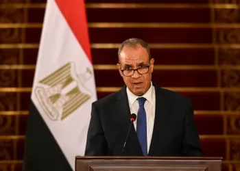 Egypt ensures safety of citizens in Venezuela 