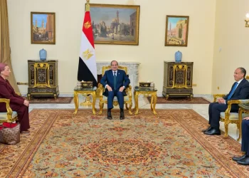 Sisi pledges full support for Dr. Yasmine Fouad in UN post
