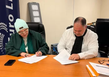 El Masry Group teams up with Dutch NGO to boost exports