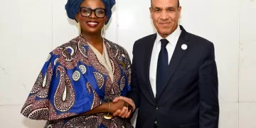 FM urges expanding AI role to support development efforts in Africa