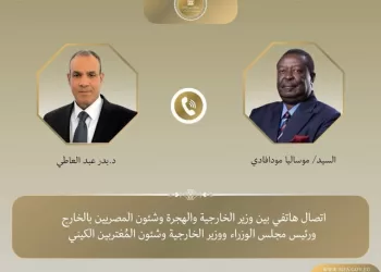 FM underlines importance of enhancing coop. among Nile-basin countries