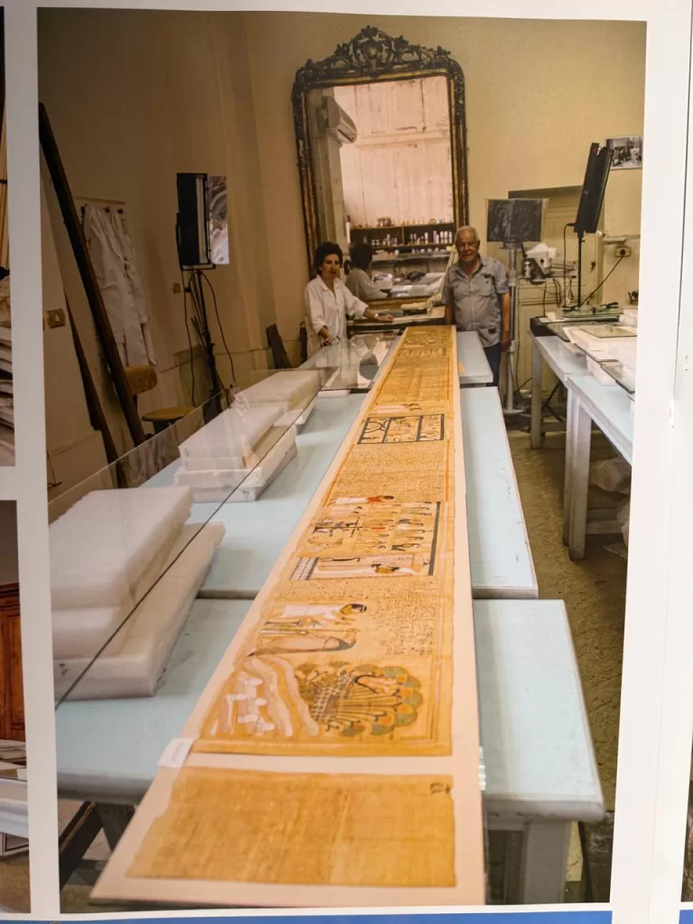 Egypt, Italy mark 20 years of papyrus conservation at Egyptian Museum 3 - Egyptian Gazette