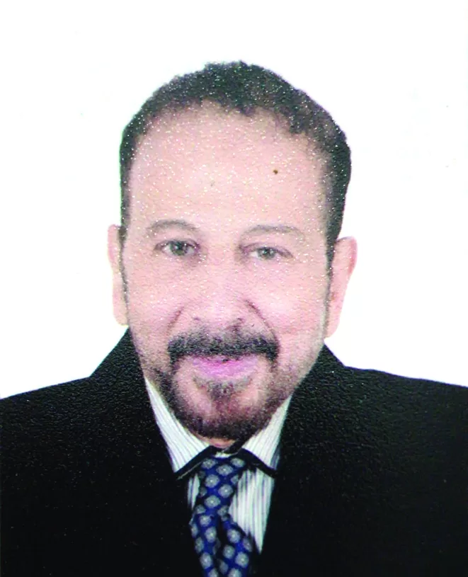 The Africa We Want 1 - Egyptian Gazette