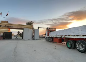 132nd Zad Al-Ezza aid convoy enters Gaza