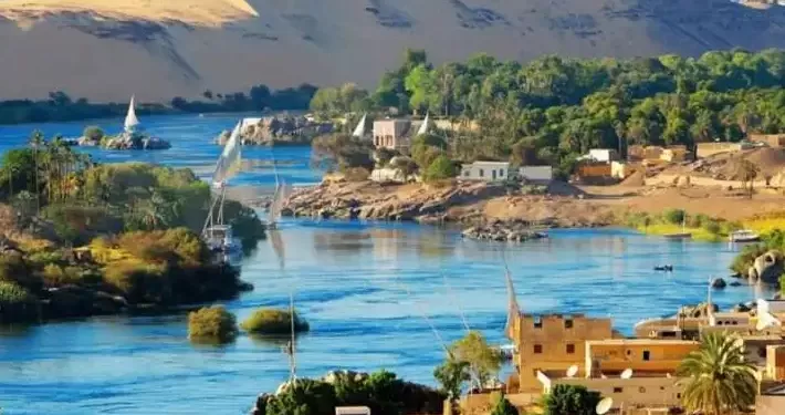 Egyptian Gazette 40 - Egyptian Gazette