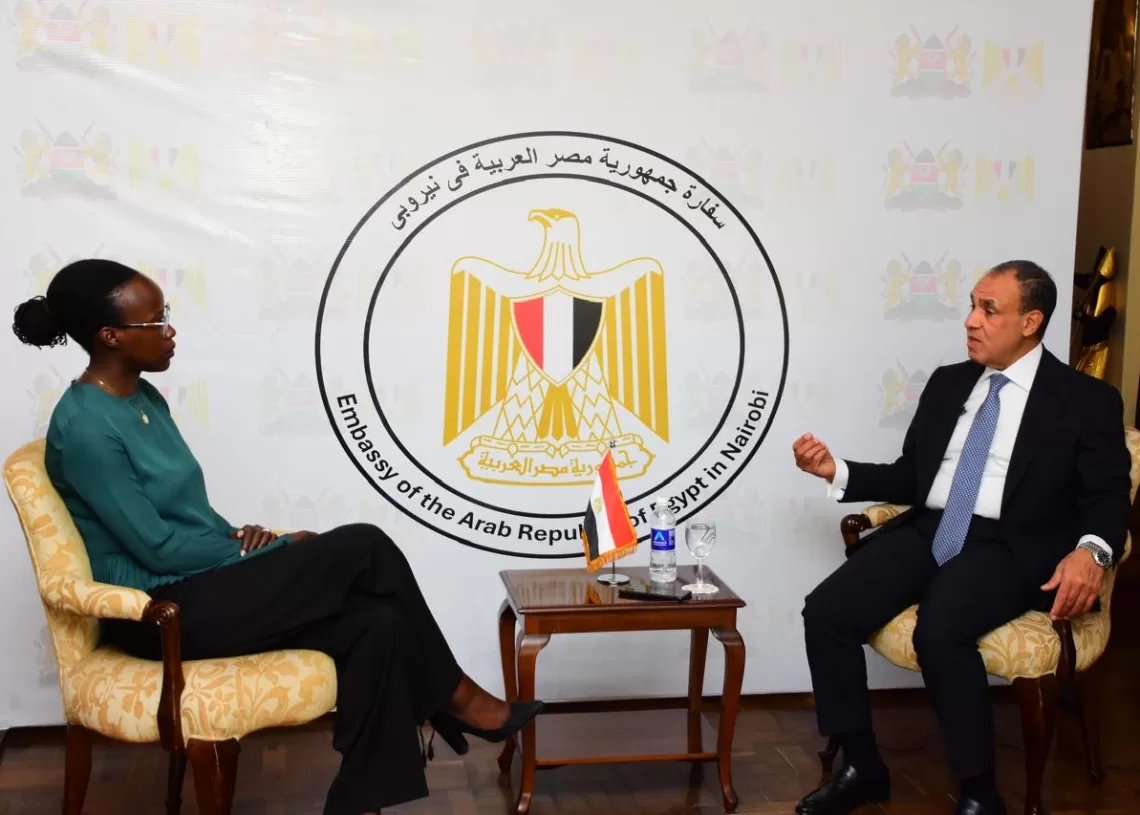 Minister of Foreign Affairs, International Cooperation and Egyptian Expatriates Badr Abdelatty